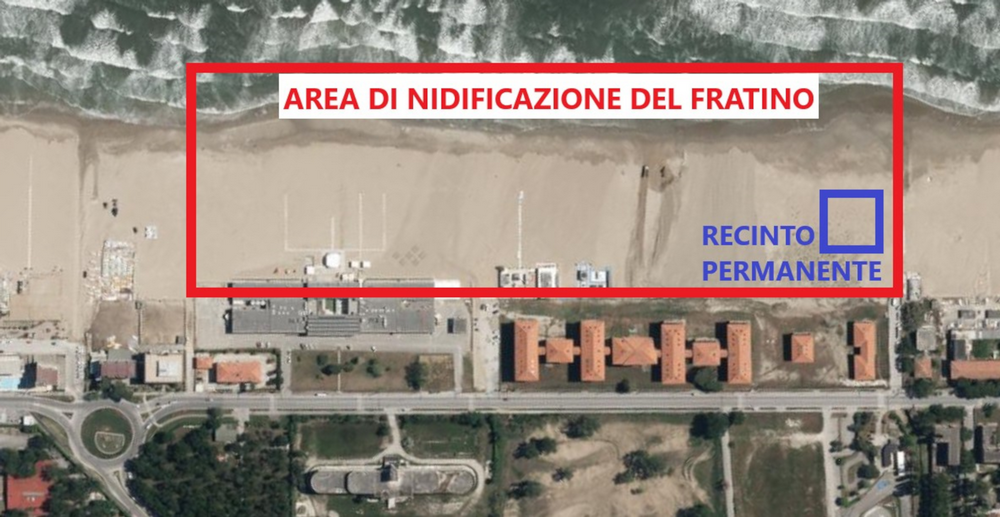 area di nidificazione e area recintata