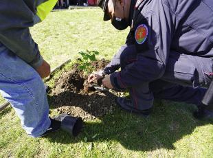 A San Salvatore il germoglio dell’Albero della Pace grazie ai bambini della scuola primaria e al gruppo CIVIVO