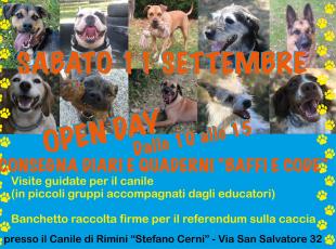 Open day del canile “Stefano Cerni”: sabato 11 settembre la giornata dedicata alle visite guidate per promuovere le adozioni. Ospite speciale il cane Mario, operato dopo l’incidente con i fondi dell’iniziativa “Baffi e code”