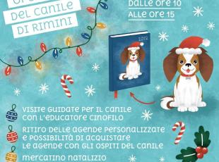 Open day del canile Stefano Cerni: sabato 18 le visite guidate e il mercatino per sostenere le cure e le attività degli amici a 4 zampe