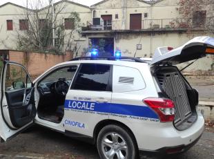  Polizia Locale