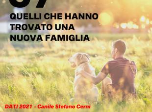 I numeri del Canile nel 2021