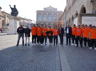 asd torre pedrera falcons baseball club