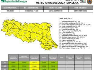 allerta meteo n. 28