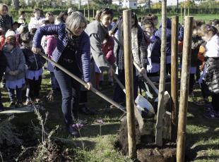 Festa dell'Albero presso l'area archeologica del ponte di San Vito