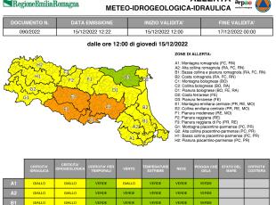 allerta meteo n. 90/1