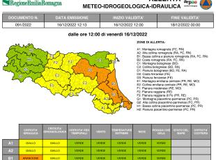 allerta meteo n. 90/1