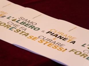 conf. piano del verde