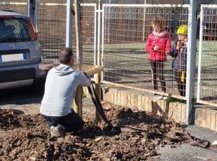 piantumazione alberi