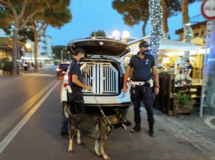 unità cinofile della Polizia Locale