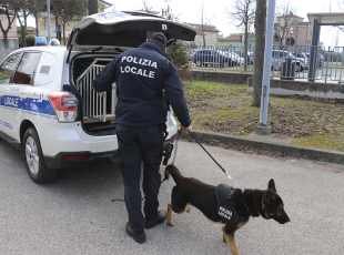 unità cinofile della Polizia Locale