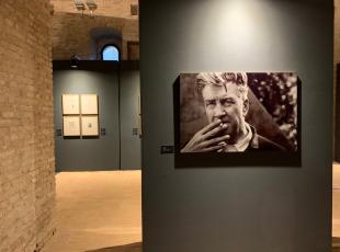 exhibition lynch fellini museum